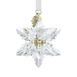 Swarovski 2024 Annual Edition 3D Snowflake Ornament