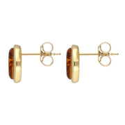 9ct Yellow Gold Amber Framed Oval Stud Earrings E1271