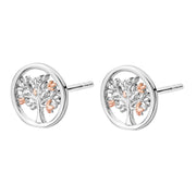 Clogau Tree of Life Sterling Silver Stud Earrings