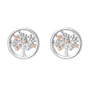 Clogau Tree of Life Sterling Silver Stud Earrings