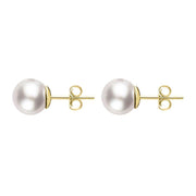 00177904 18ct Yellow Gold 5mm White Pearl Stud Earrings, E2520.