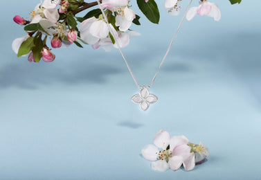 Sterling Silver White Mother of Pearl Eden Large Marquise Flower Necklace