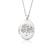 Clogau Tree of Life Sterling Silver Oval Locket Necklace 3SNTLL