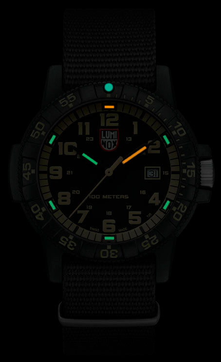 Luminox Leatherback Sea Turtle Giant 0320 Series Watch