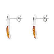 Sterling Silver Whitby Jet Amber Circle Drop Earrings E2562_2