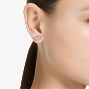 Swarovski Constella Rhodium Plated Crystal Earrings