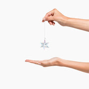 Swarovski Star Shimmer Crystal Medium Ornament, 5545450.
