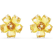 Swarovski Florere Gold Tone Plated Yellow Crystal Flower Stud Earrings 5650571