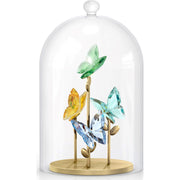 Swarovski Jungle Beats Butterfly Bell Jar, 5619219